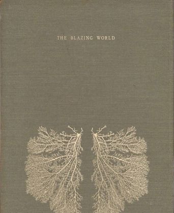  The Blazing World Poster