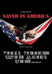 Saved in America Poster