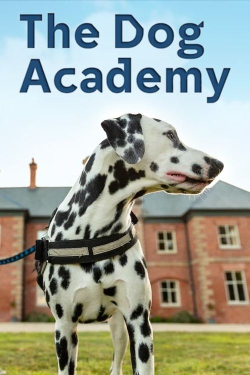 The Dog Academy: Where to Watch and Stream Online | Reelgood