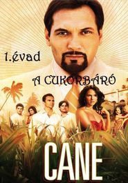 Cane Season 1 Poster