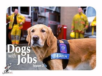  Dogs with Jobs Poster