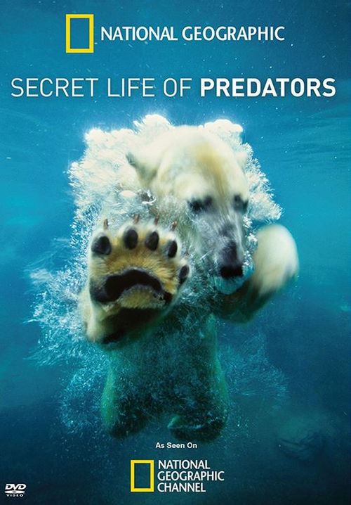 Secret Life of Predators Poster