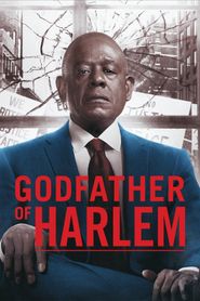Godfather of Harlem Season 2 Poster
