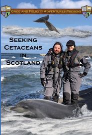  Seeking Cetaceans in Scotland Poster