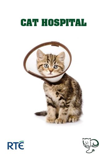  Cat Hospital Poster