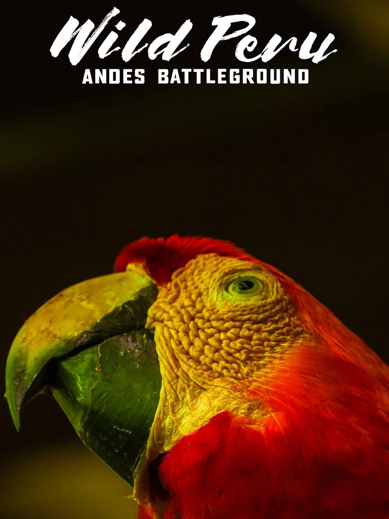 Wild Peru: Andes Battleground