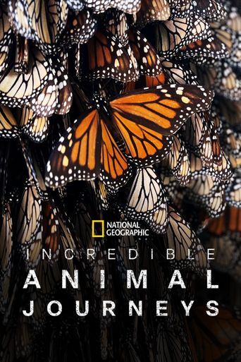  Incredible Animal Journeys Poster