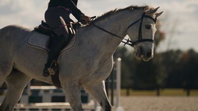 Season 01, Episode 05 Horse Hitman