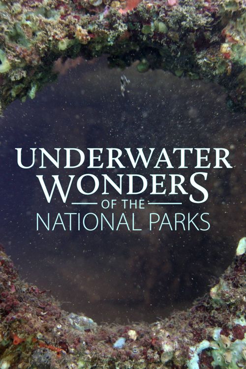 Underwater Wonders of the National Parks Poster
