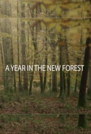  A Year in the New Forest Poster