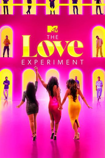  The Love Experiment Poster