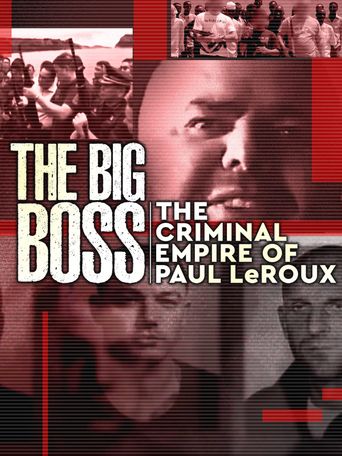  The Big Boss: A 21st Century Criminal Poster