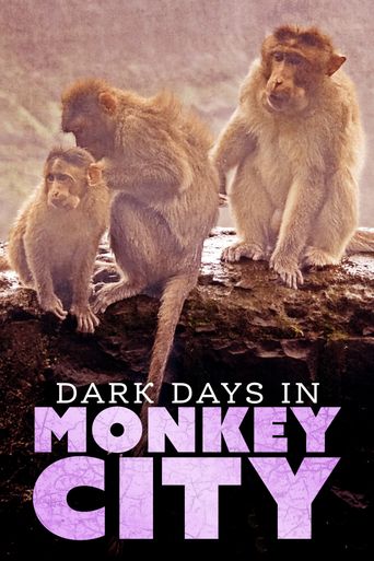  Dark Days in Monkey City Poster