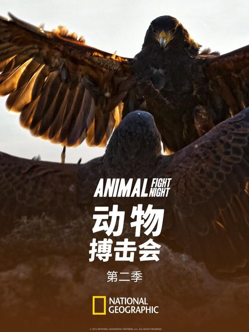 Animal Fight Night Season 2 Poster