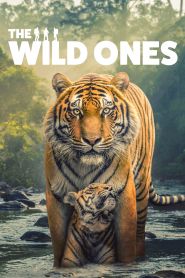 Upcoming The Wild Ones Poster