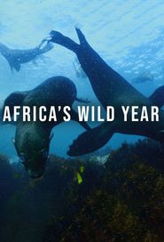  Africa's Wild Year Poster
