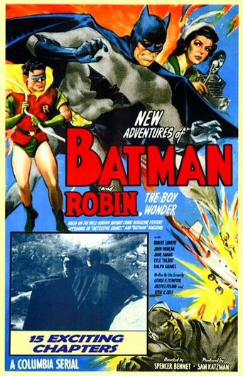  Batman and Robin Poster