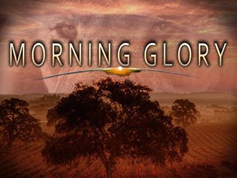  Morning Glory Poster