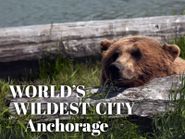  World's Wildest City: Anchorage Poster