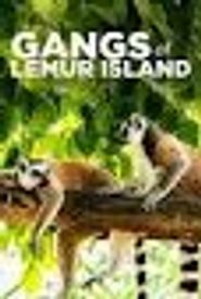  Gangs of Lemur Island Poster