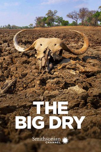  The Big Dry Poster