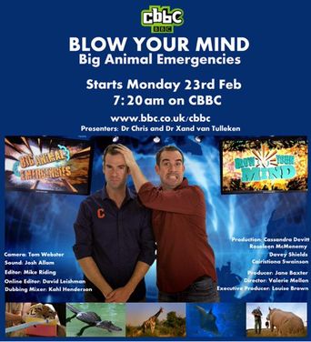 Blow Your Mind Season 1: Where To Watch Every Episode | Reelgood