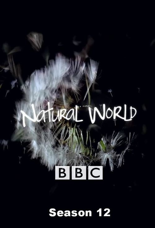 Natural World Season 12 Poster