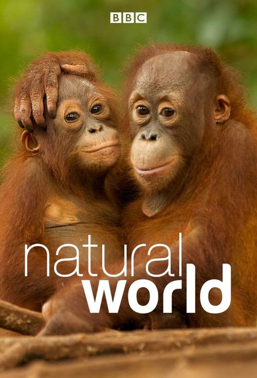 Natural World Poster