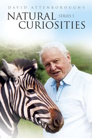 Natural Curiosities Season 1 Poster