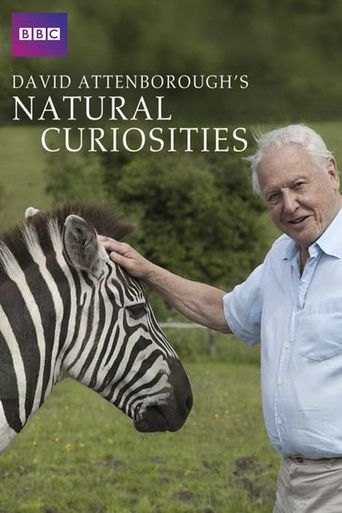  David Attenborough's Natural Curiosities Poster