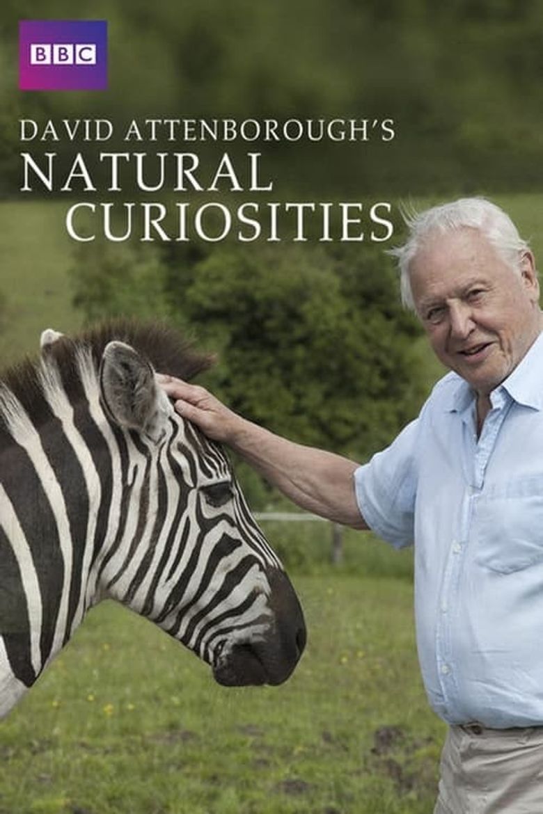 David Attenborough's Natural Curiosities Poster