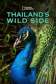  Thailand's Wild Side Poster