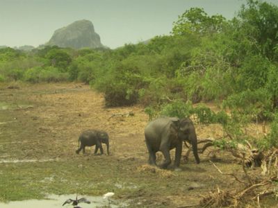 Season 01, Episode 04 Sri Lanka: Monsoon Island