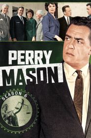 Perry Mason Season 6 Poster