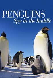  Penguins: Spy in the Huddle Poster