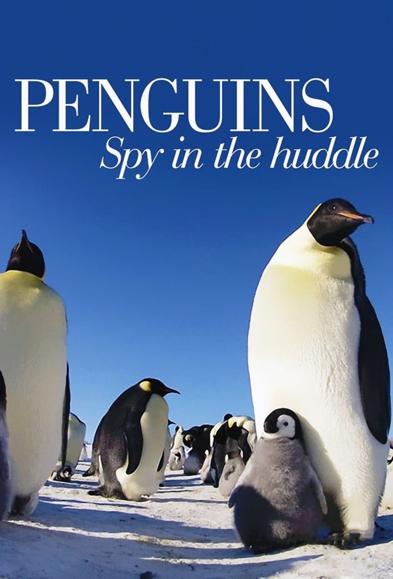 Penguins: Spy in the Huddle Poster