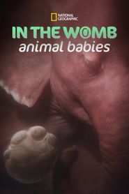  In the Womb: Animal Babies Poster