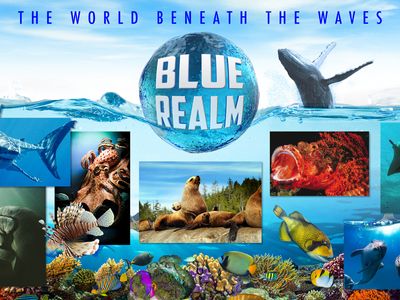 Season 01, Episode 09 Blue Realm: Shark Nation