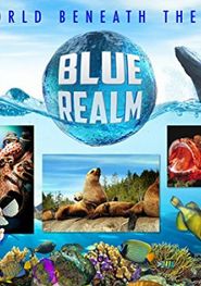  Blue Realm Poster