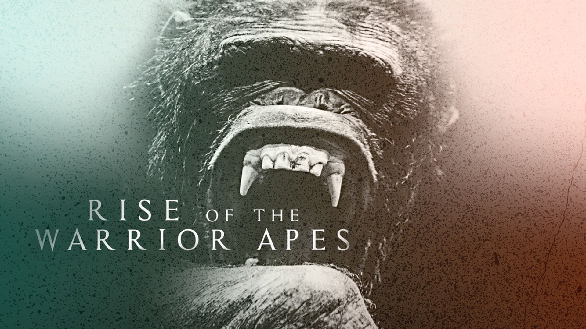 Rise Of The Warrior Apes Full Documentary Free Rise of the Warrior Apes - Watch Episodes on DIRECTV STREAM or