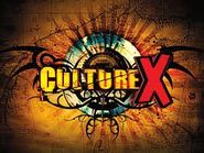  Culture X Poster