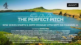  The Perfect Pitch Poster