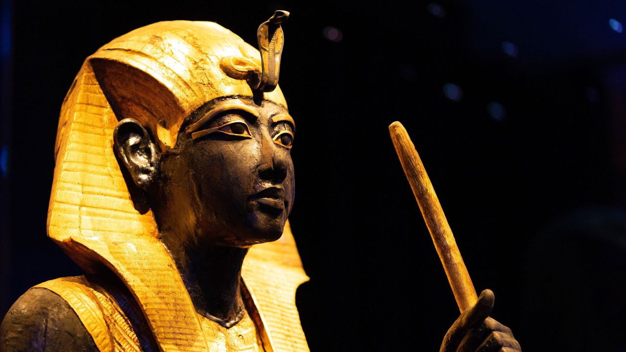 The Curse of Tutankhamun: Where to Watch and Stream Online | Reelgood