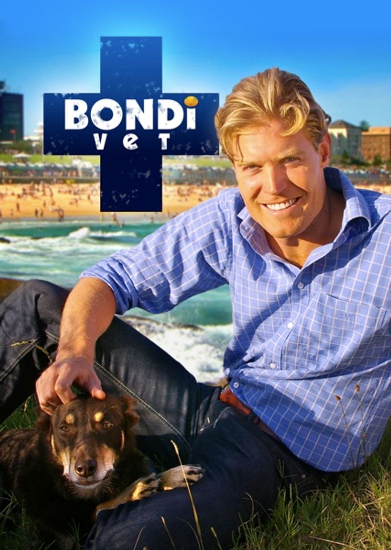 Bondi Vet