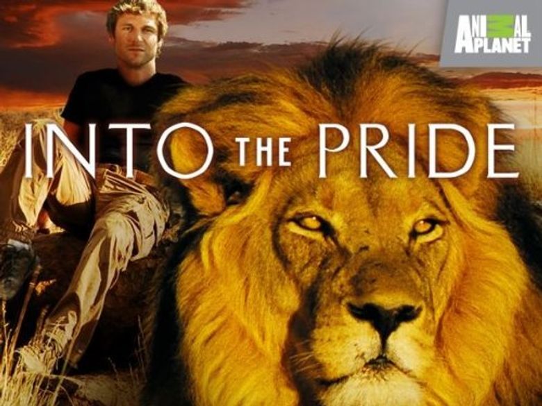 Into The Pride Poster