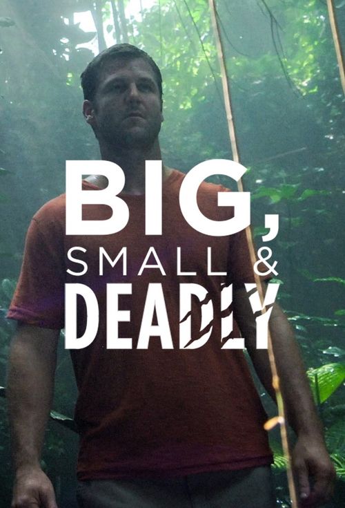 Big, Small & Deadly Poster