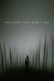  The Night That Didn't End Poster