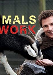  Animals at Work Poster