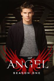 Angel Season 1 Poster
