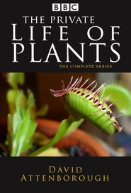  The Private Life of Plants Poster